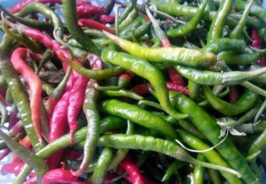 辣椒50块钱两个鸡蛋猜个成语_火跟山猜个成语