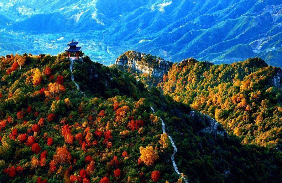 北京最低调的景区，山上种着成片濒危古树林，一到秋天就美绝了
