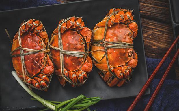 怎么样挑螃蟹可以挑到最好的 0121c6342dcd46f69f9203ec42c4faa8.jpeg