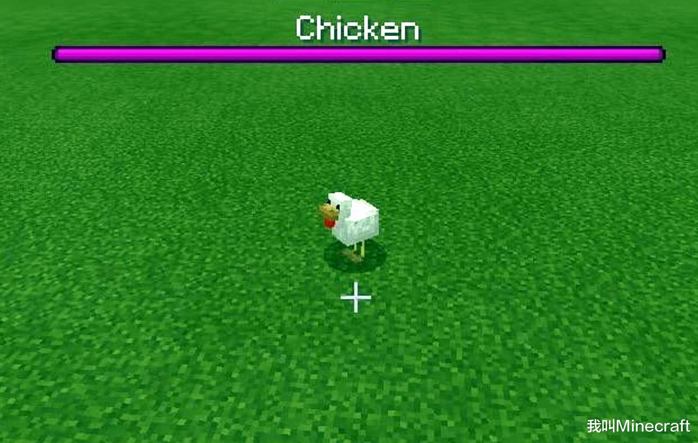 这是什么生物 我的世界 11个看完会让你 怀疑人生 的错误画面 盔甲