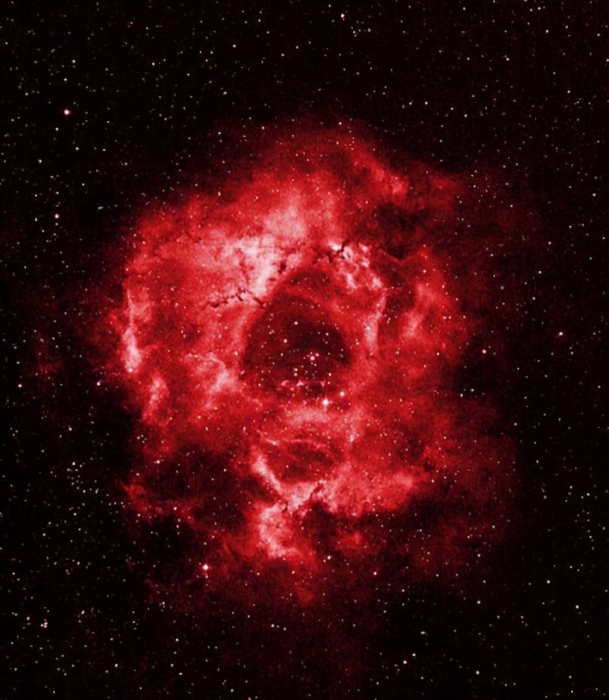 玫瑰星云手机壁纸 搜狗图片搜索