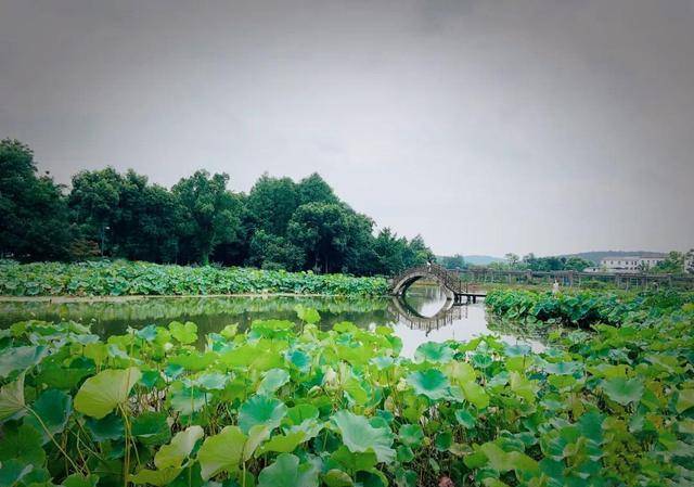武汉最低调的景点，风景迷人游客少，堪称现实版绿野仙踪