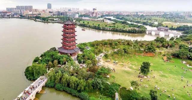 粤港澳大湾区_广东旅游增了4处国家级湿地公园，大湾网带你看下有哪些