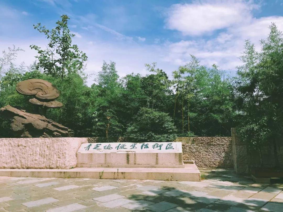 【京郊民宿】“长”在茶田里的民宿，带你打卡“最杭州”的生活
