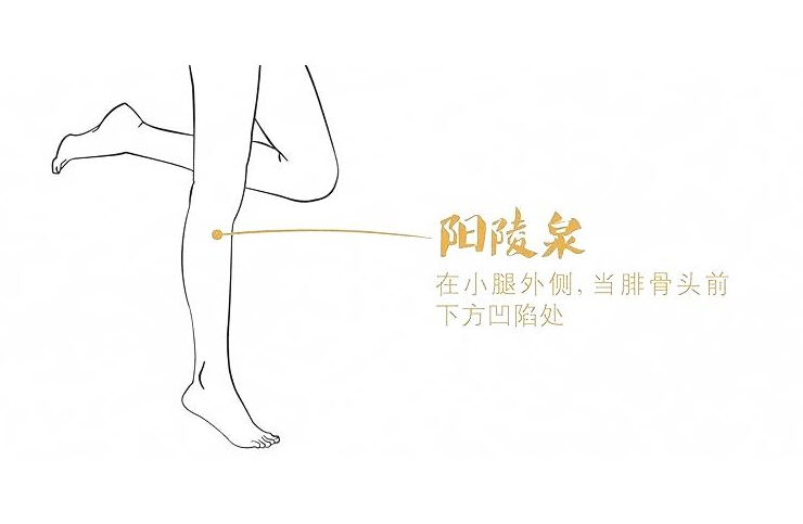 dd663992cec84092a0ef5e205ebeb303.png