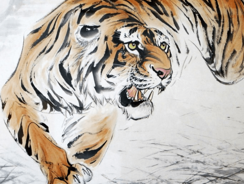 生肖虎:必须"警惕"一个人,他是你一生的敌人,2020年不得不防