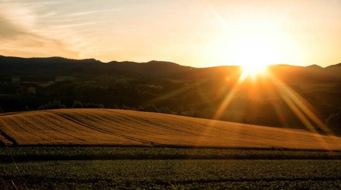 家电服务业迎新起点!美的空调以直达用户撬动产业深层次蜕变-家电圈官网