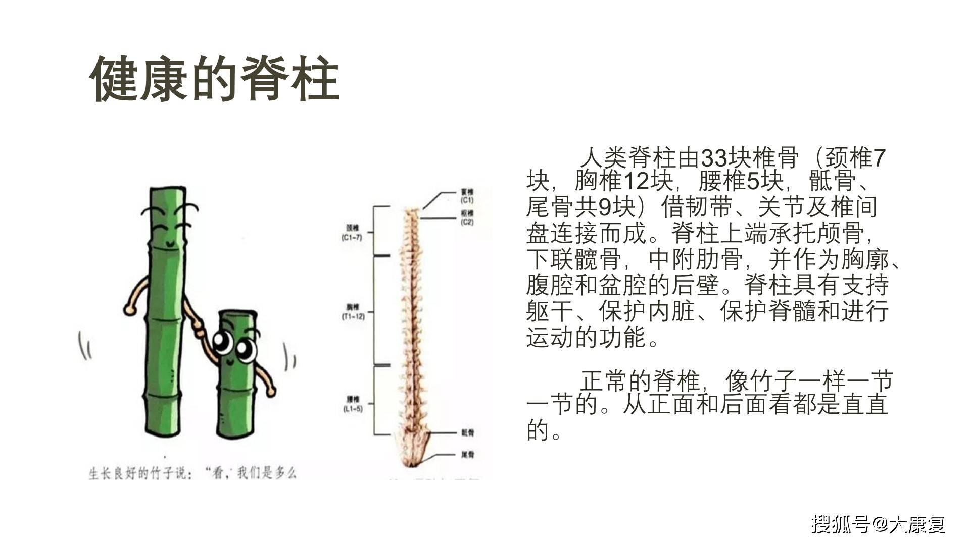脊柱健康教育(科普)