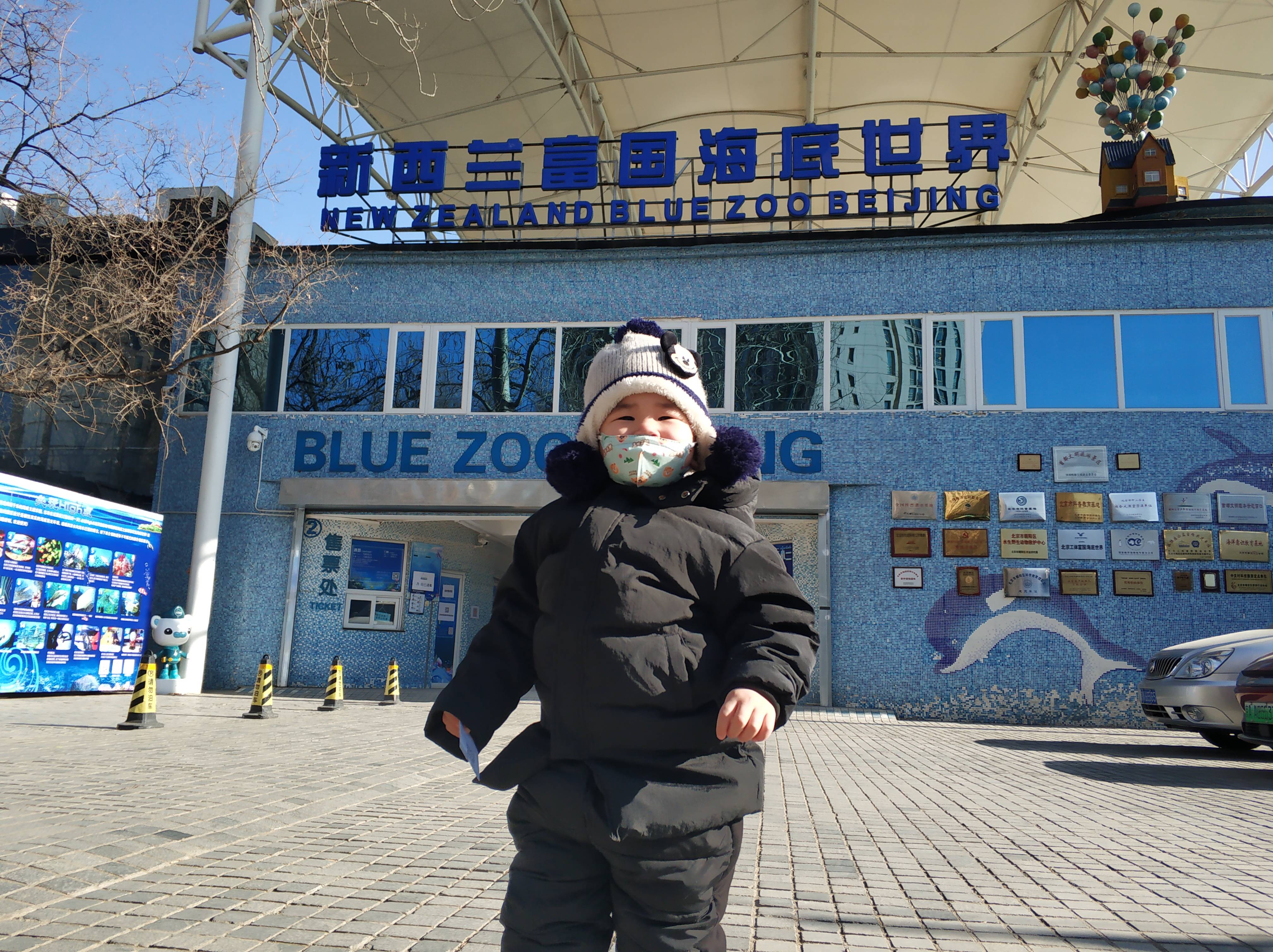 北京第一座五星级海洋馆，120米海底隧道，游人不多值得一去