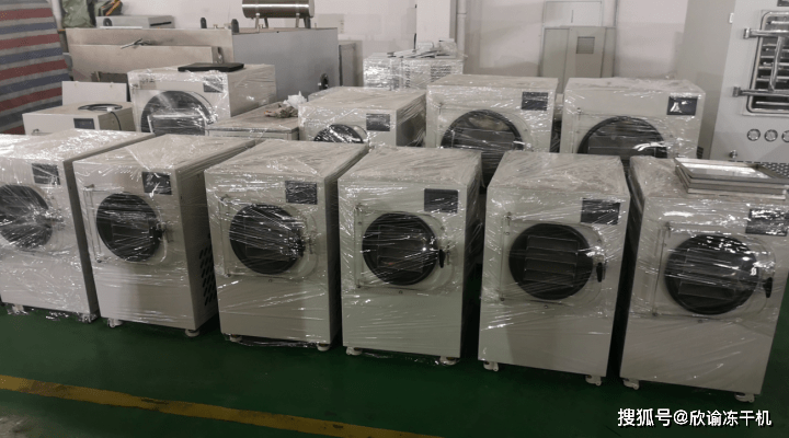 原创冻干机怎么用来冻干鸡肉