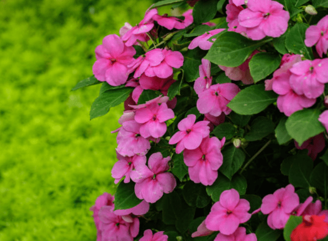 136eeec286ae4d97a964285ddaccf371.png