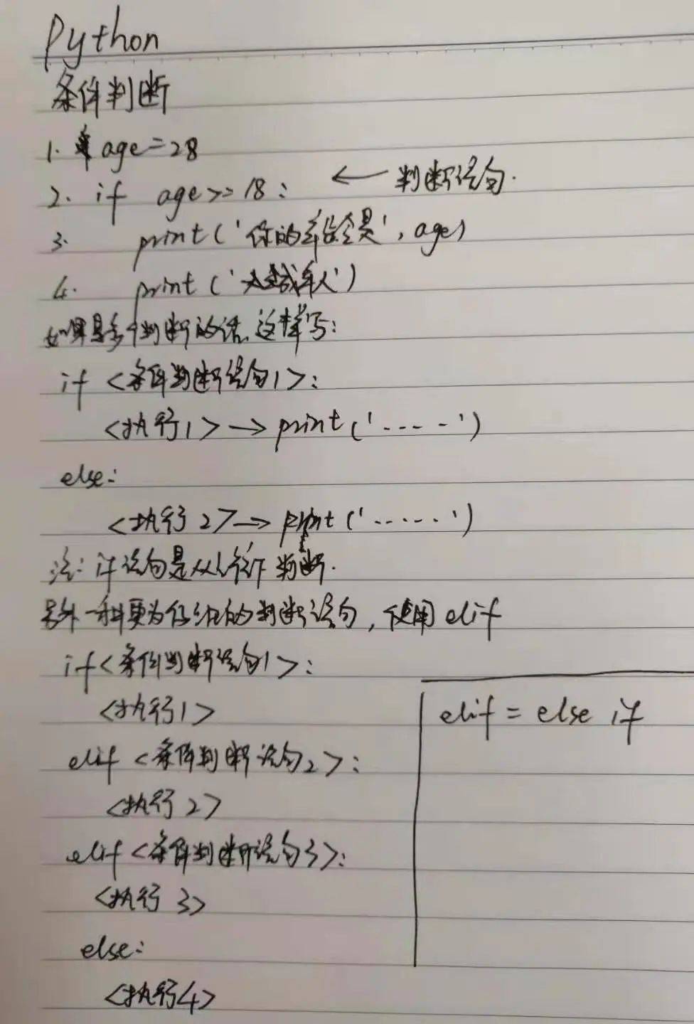 miu简谱_儿歌简谱(2)