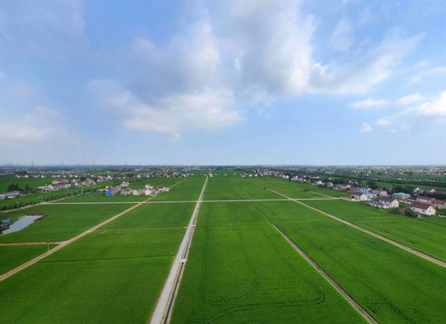 海安市西场街道石庄村:追"清"逐"绿"共绘最美新农村