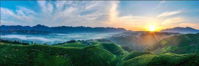 美轮美奂“世界茶谷”鹤峰木耳山茶场(美图)