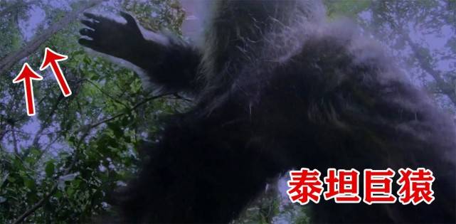 原创斗罗真人版5位封号斗罗登场泰坦巨猿身高2米魂环像呼啦圈