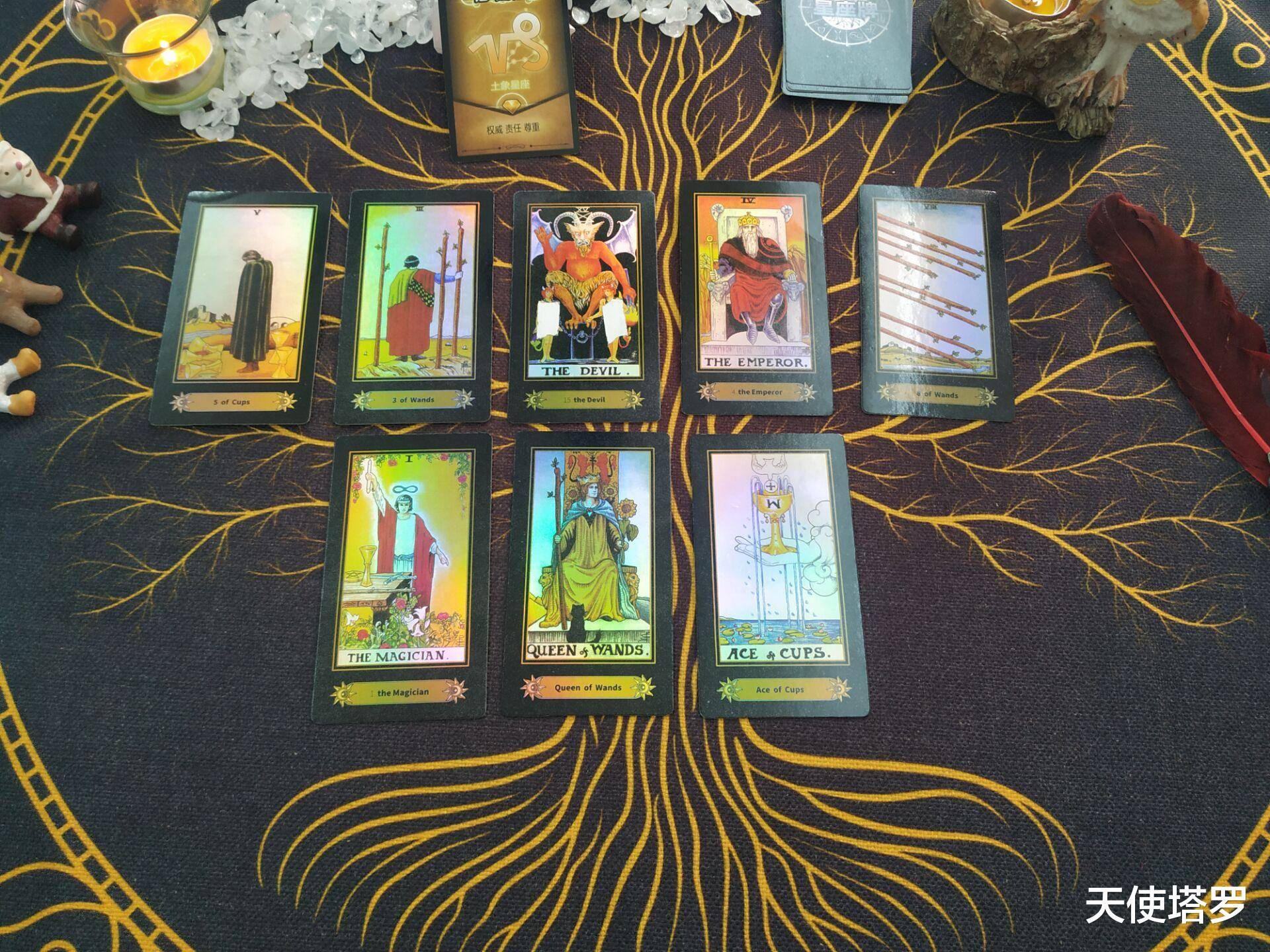 恶魔牌,皇帝牌,权杖八魔法师,权杖皇后,圣杯一这里看到有部分摩羯座的