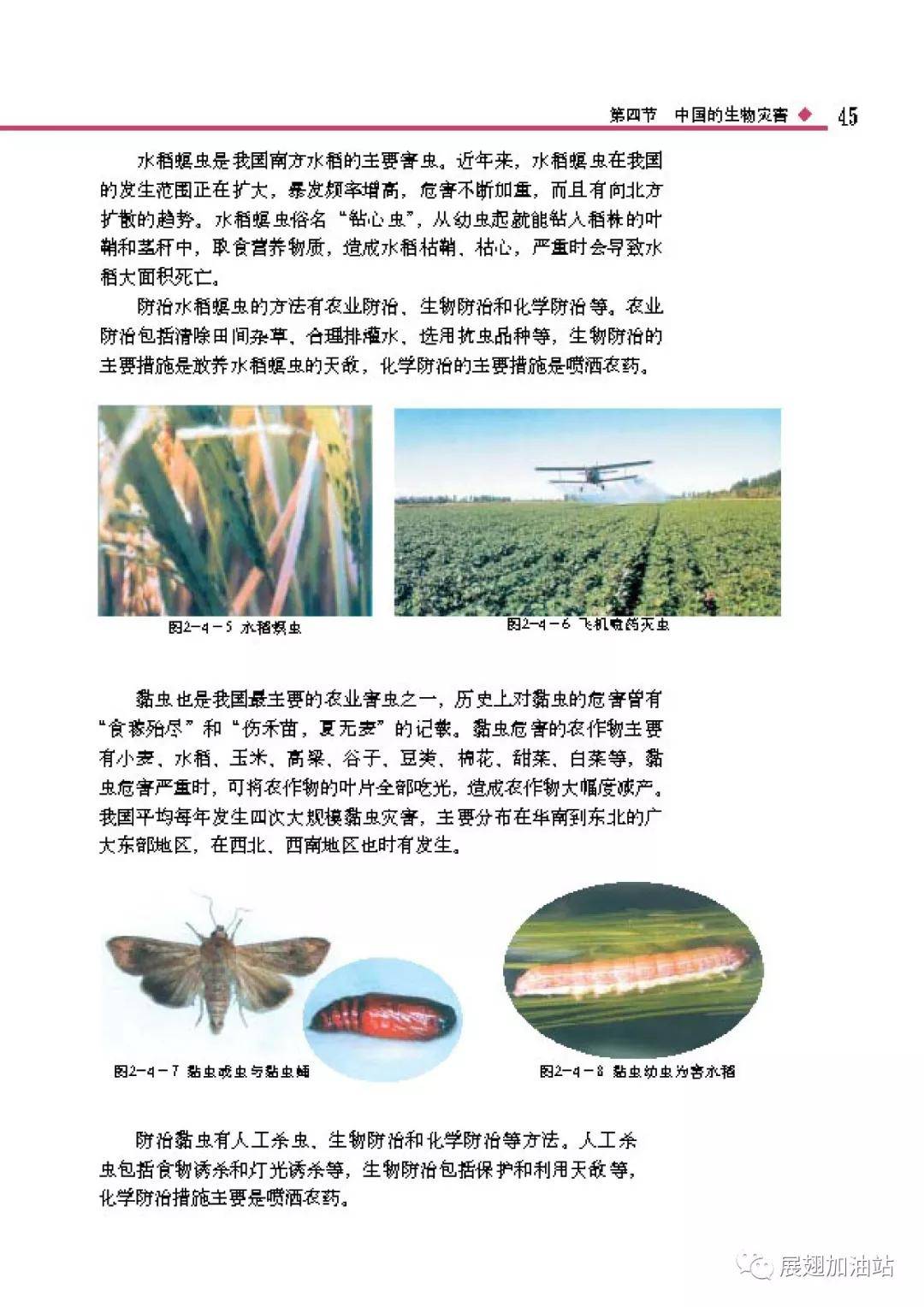 害羞草研究中心破解版 害羞研究所隐藏入口2021
