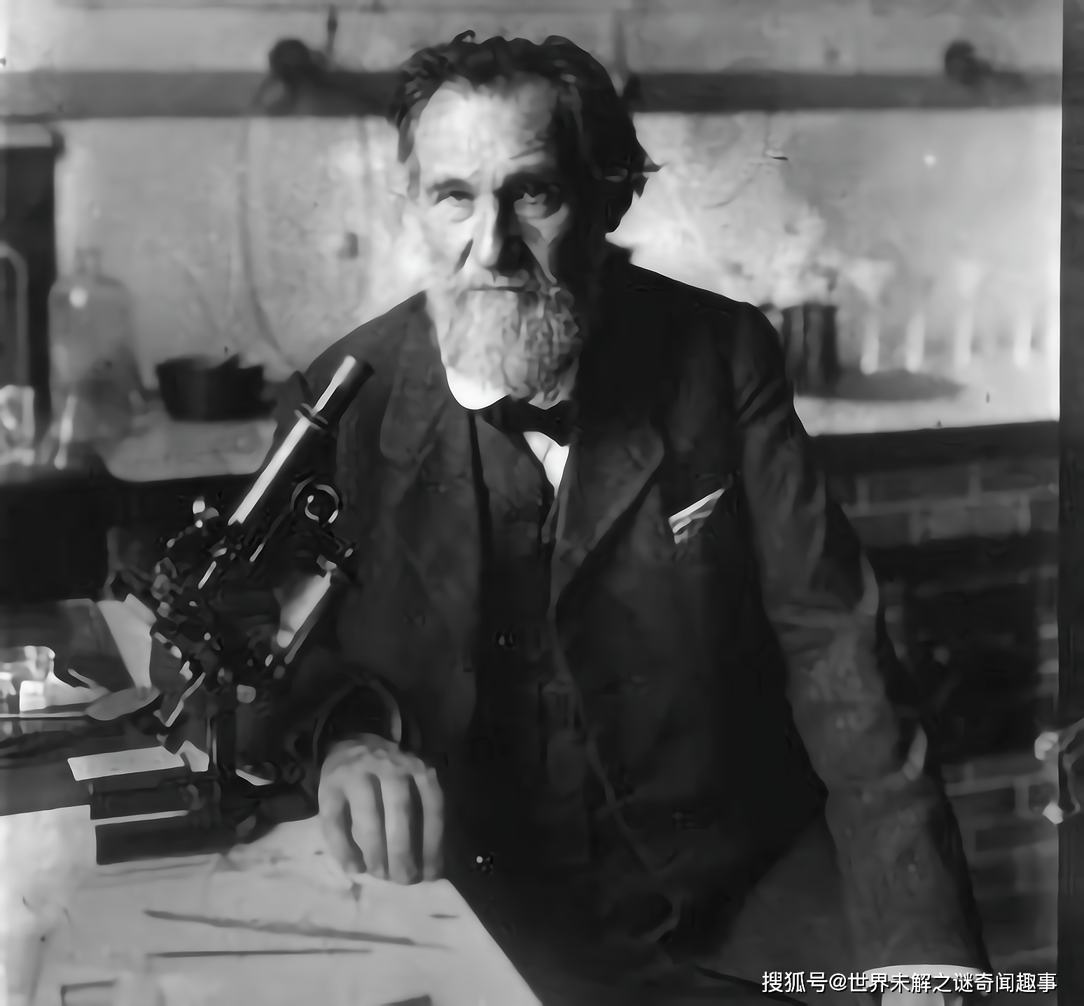 原创猩猩和人能否有后代前苏联5名志愿者挺身而出结果很现实