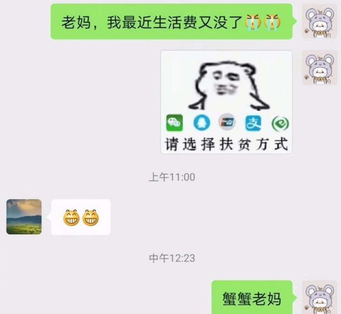 宝宝向妈妈发了一个"哭"的表情"生活费又没了,并附上"表情包"一张