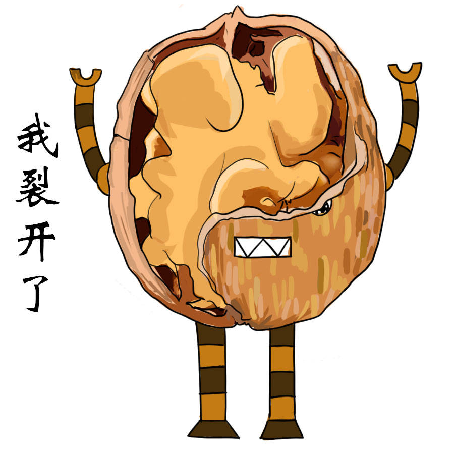 核桃真的能补脑吗