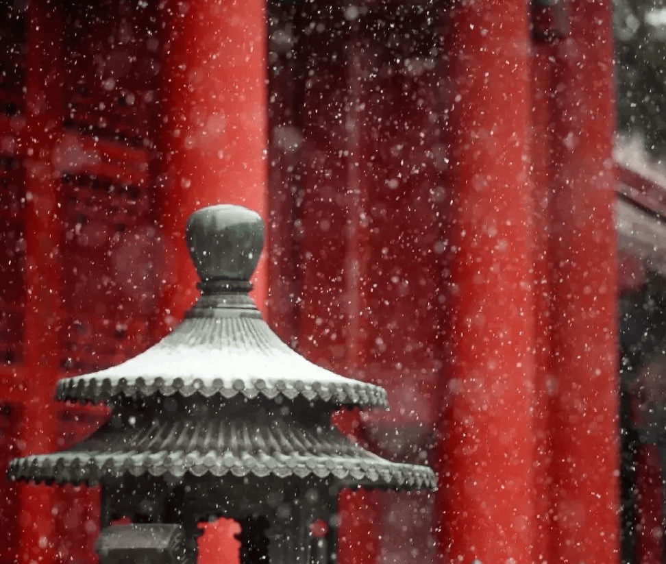 故宫初雪美映入眼帘，小雪节气印象最深的就是家里已经开始准备过年的年货了。
