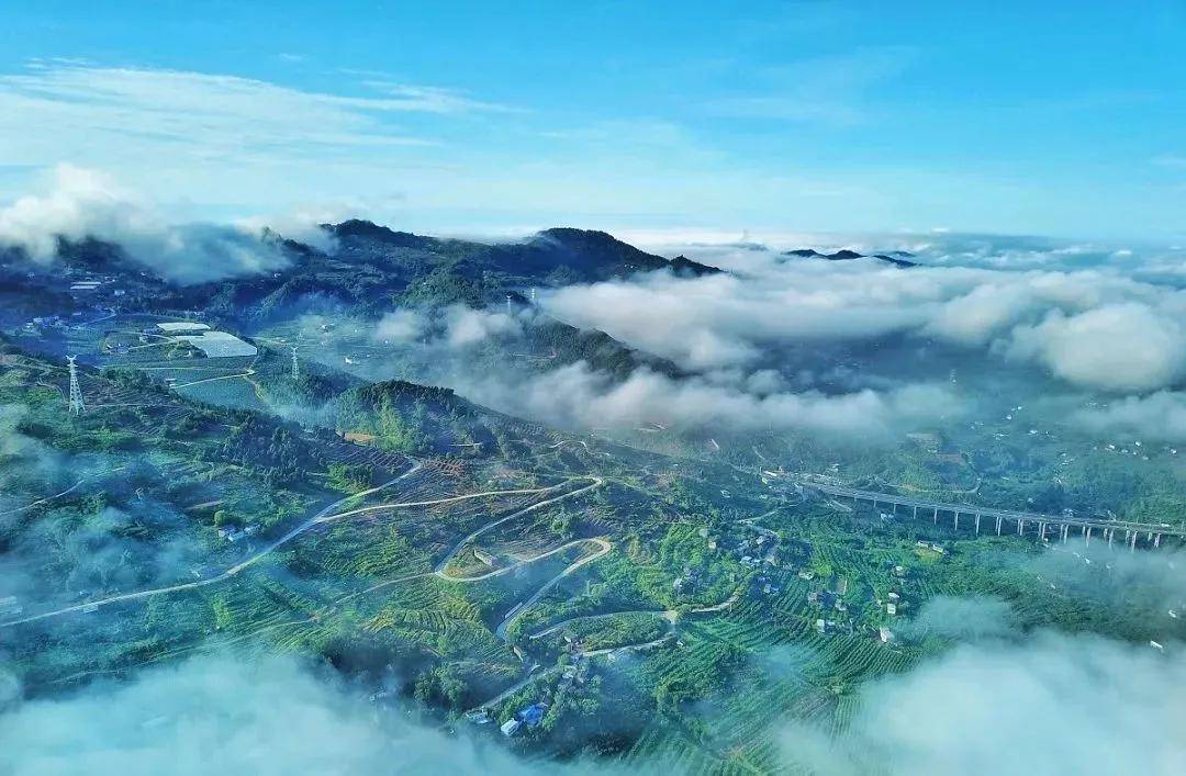 龙泉山上眺望心中那座城