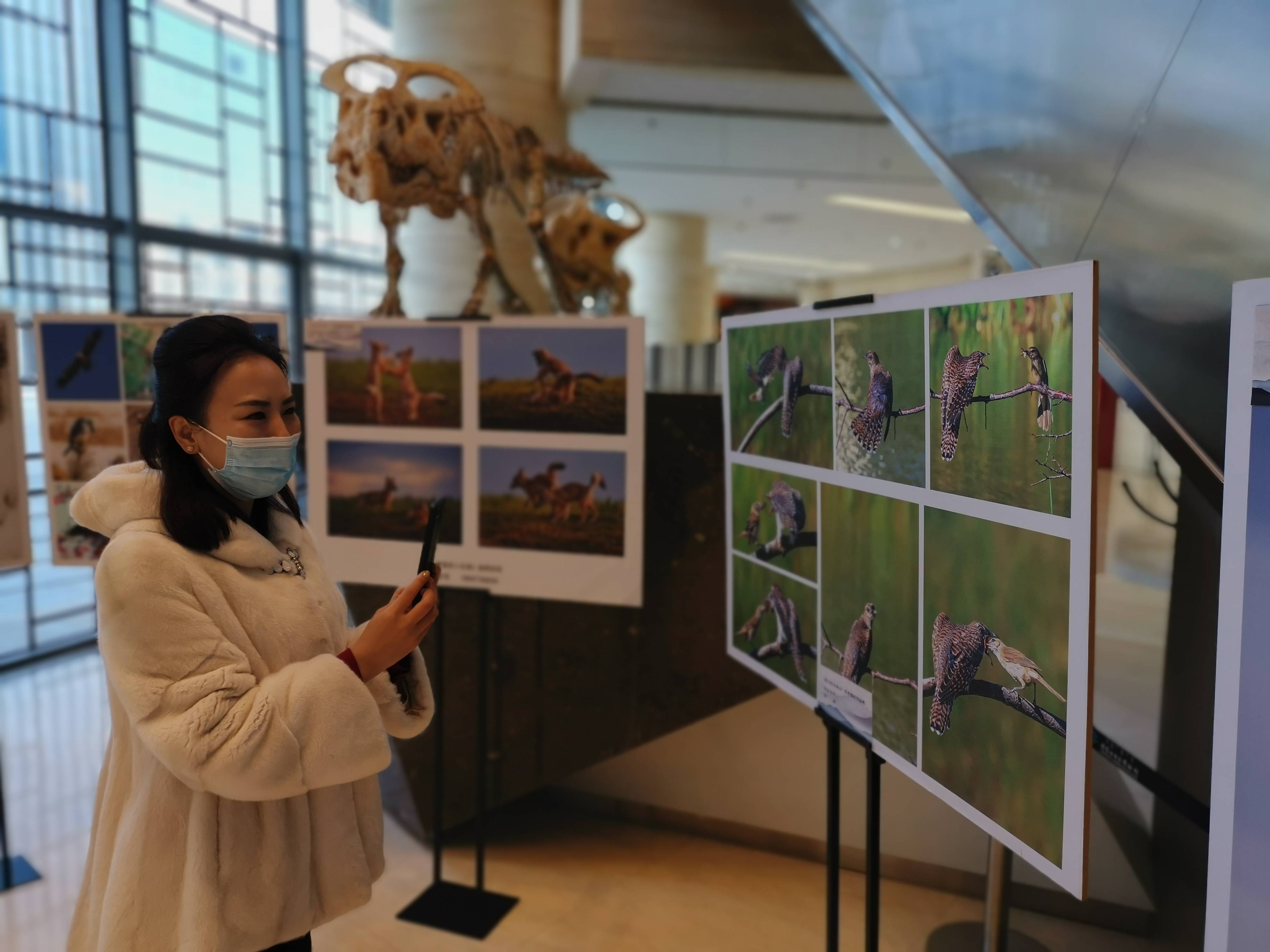 【开展啦】“我们的大青山” 优秀摄影作品展内蒙古自然博物馆举行