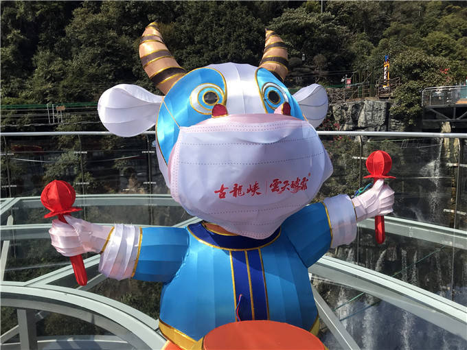 广东景区给牛戴上口罩提醒游客春节出游要注意防护