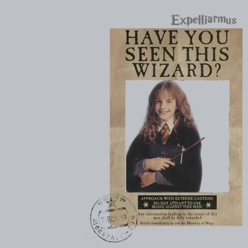 哈利波特系列图：《哈利·波特》中你不知道的有趣的冷知识_搜狐网