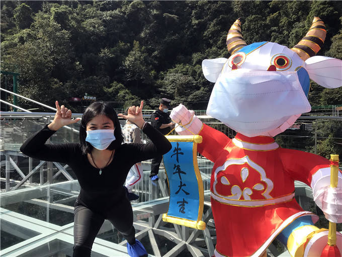 广东景区给牛戴上口罩提醒游客春节出游要注意防护