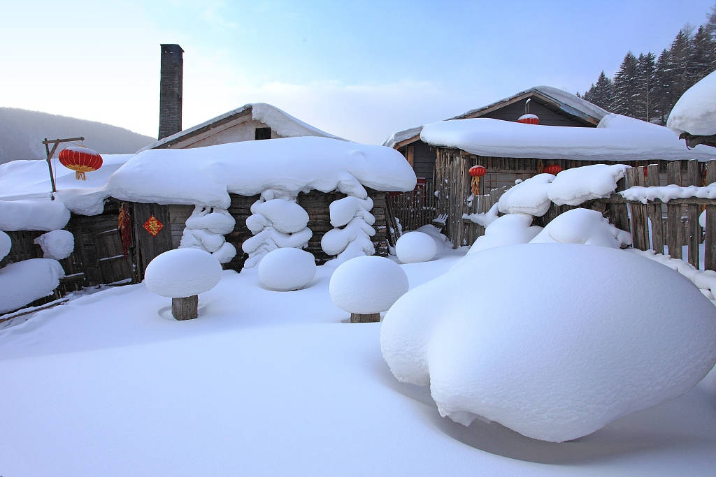 冬天里的童话 雪乡粗犷与柔美兼容 苍劲与精致并存 不一样的感觉