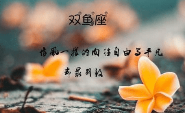 207eefb8a12f4749b0e9d895838d5011.png
