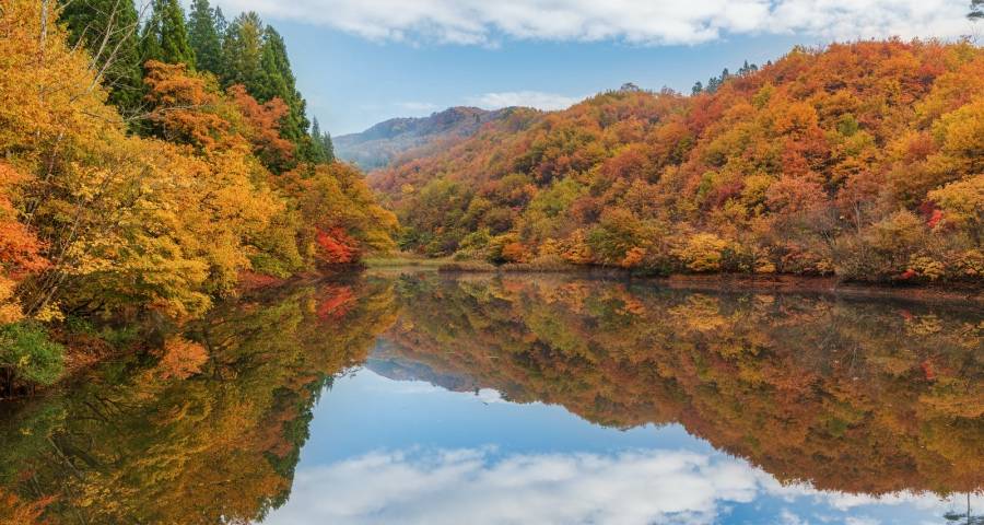 哪些家电产品会迎来新的商业赛道和风口？单品升级和方案落地-家电圈官网