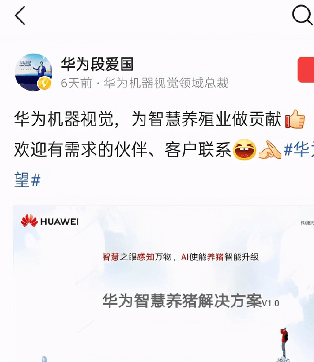 华为宣布"养猪"!任正非:不靠手机也能活