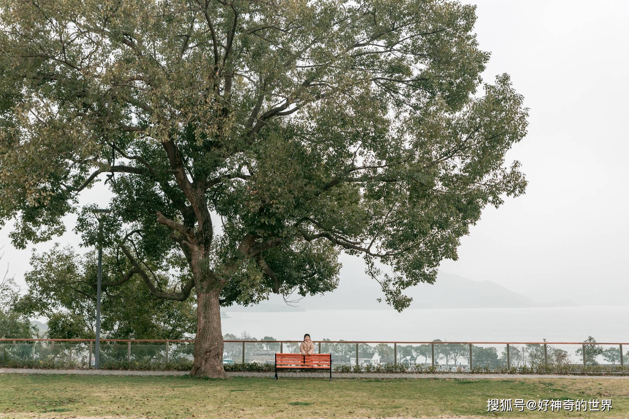 宁波又一新晋打卡地，赏湖观景适合休闲游，就在东钱湖游客却不多