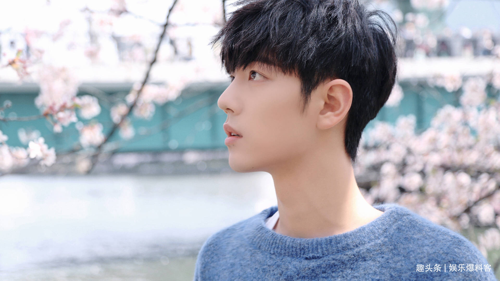 娱乐点评:肖战,张新成,胡一天,吴磊,谭松韵,夏之光