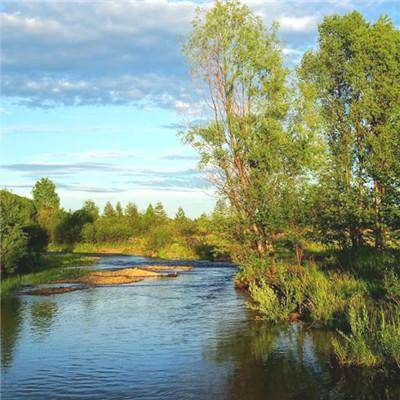 属鸡人事业的最佳搭档是谁生肖鸡跟什么生肖合作最旺有你吗