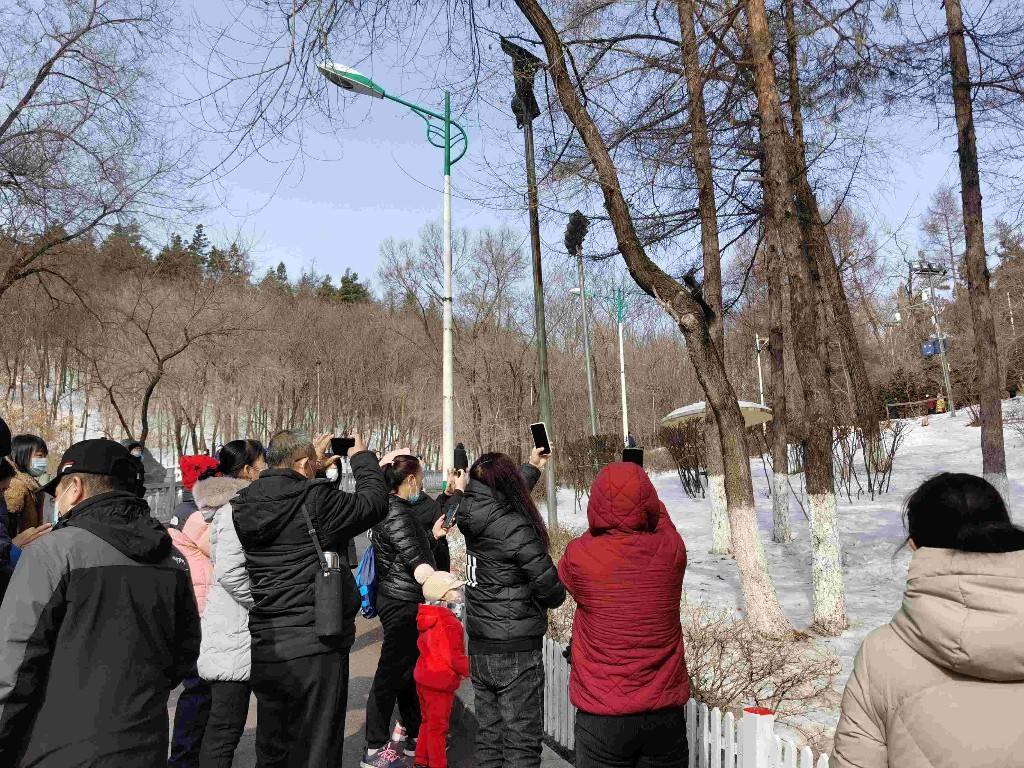 牡丹江市民春节登山过健康年