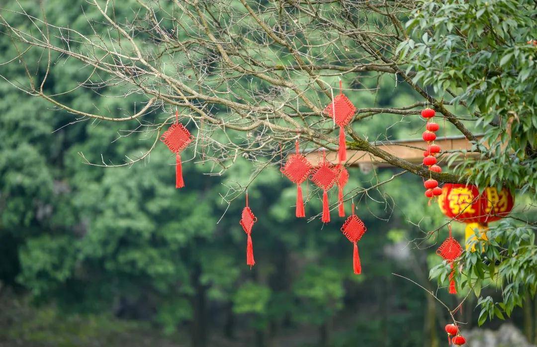 【创建天府旅游名县】春节余额告急，快来兴文石海补充春节能量！