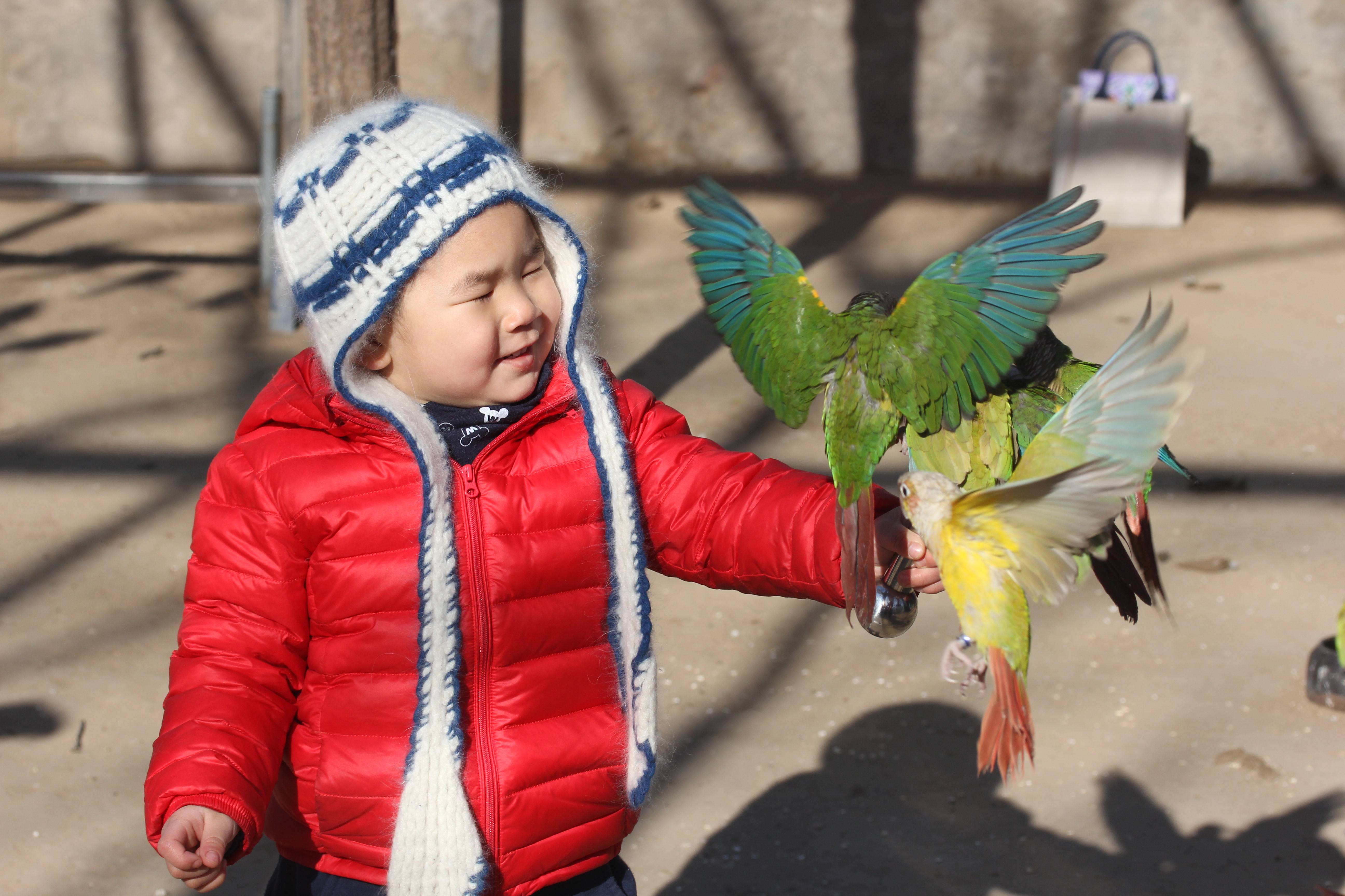 北京以花海闻名的地方，如今变身萌宠乐园，可玩性超越动物园