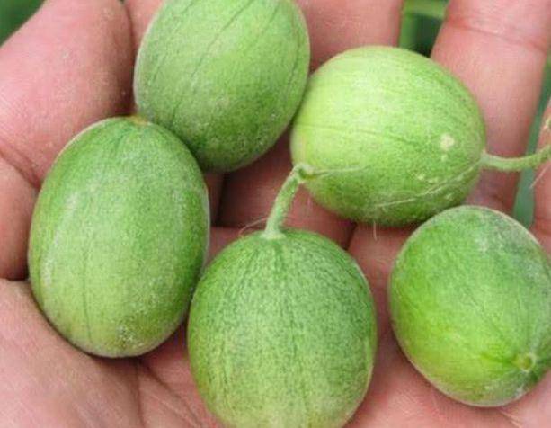 佛手瓜怎么吃对肝脏有好处 01ba17ef64e349b1bf36bcd4b32be9bb.jpeg