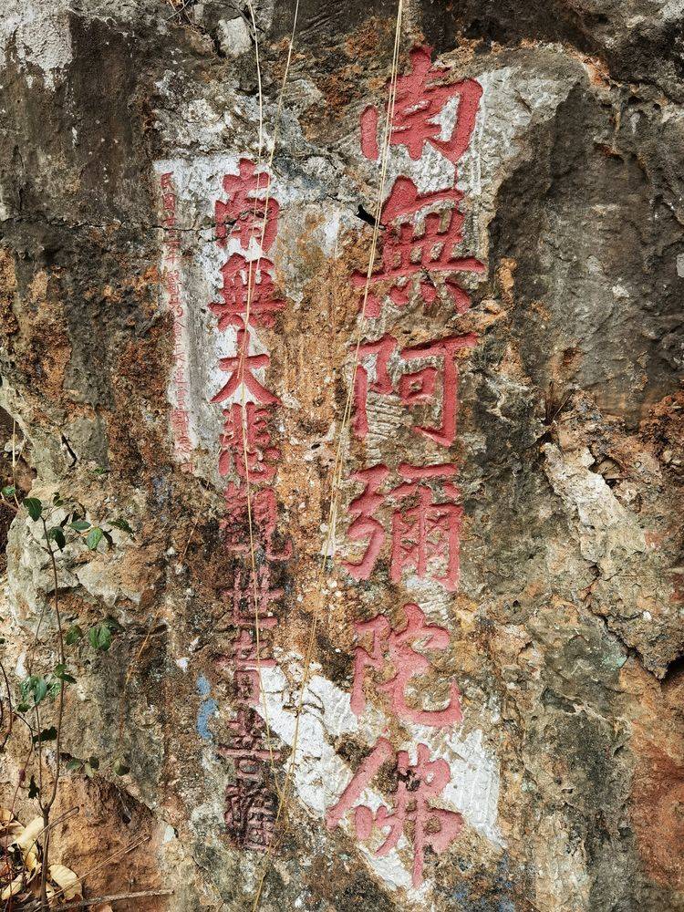 挂在树上的彩灯价格 911cce2b788141aaabcade59f6a1e963.jpeg