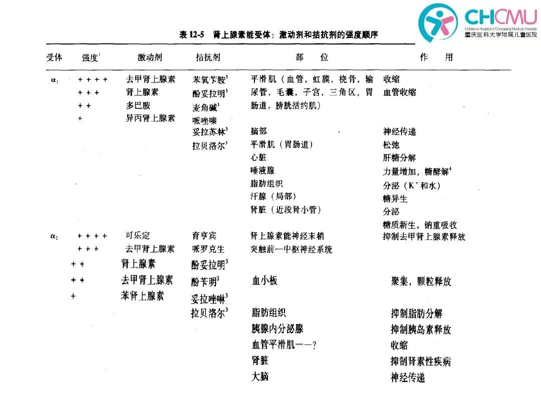 還存在不以乙酰膽鹼或去甲腎上腺素為其主要遞質的神經元,這些神經元