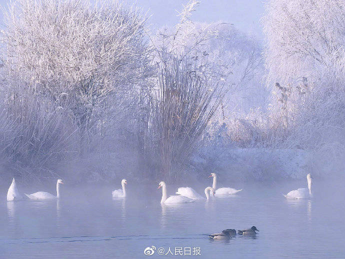 仙境！新疆伊犁天鹅泉美得像童话