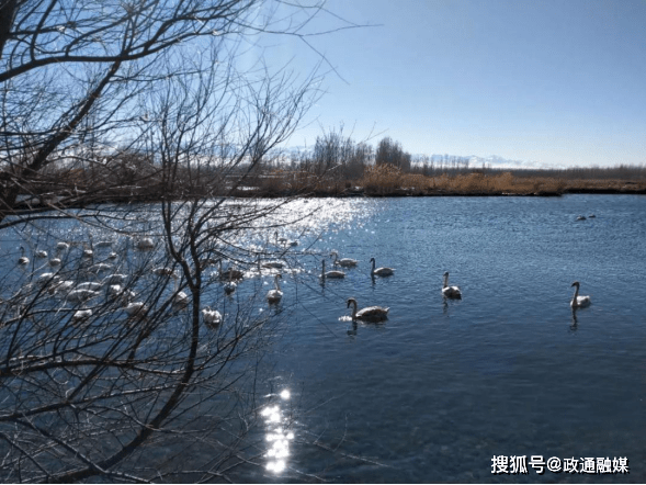 伊宁县天鹅泉景区成为春节小长假期间旅游好去处