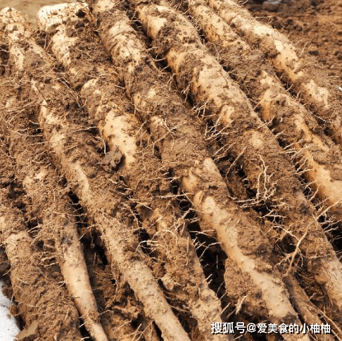 原创给山药去皮不用戴手套只需加一样山药不发黑手也不痒了