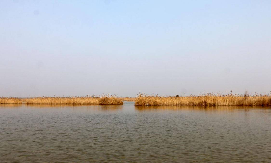 江苏一个空旷宁静的湿地，面积45万公顷，滑进沼泽的女孩就在此