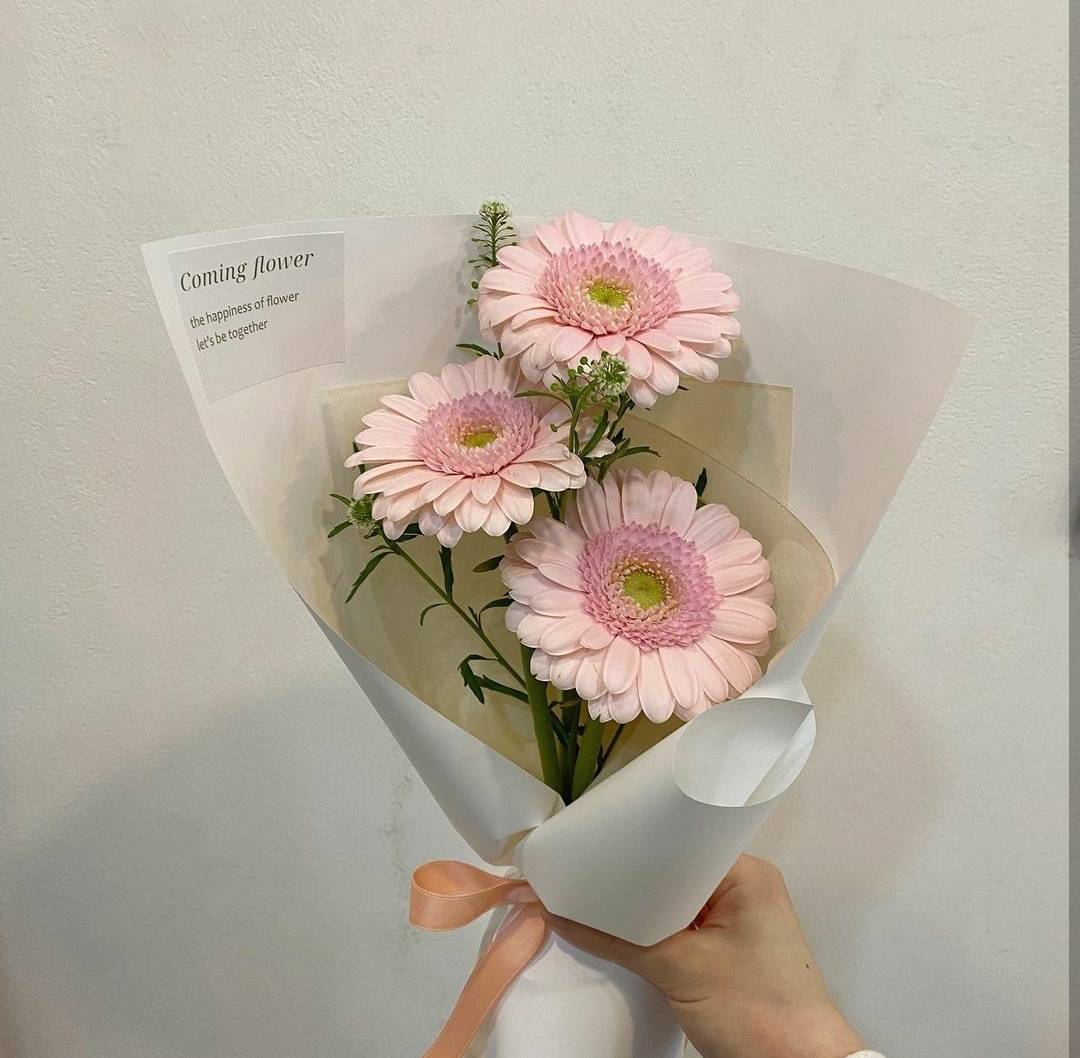 蓝色绣球花束图片大全 搜狗图片搜索