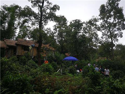 助力乡村发展 西双版纳普洱茶生态文化产业园成示范区