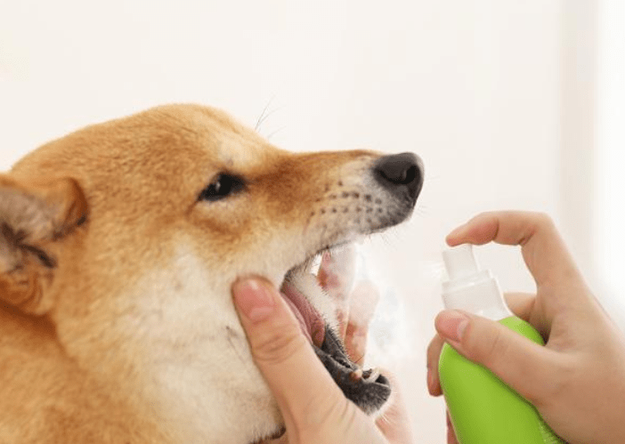 9870d7f9eefe437884ad3afddc11f70e.png